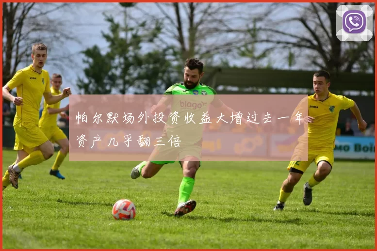 帕尔默场外投资收益大增过去一年资产几乎翻三倍
