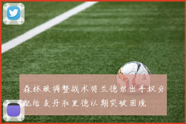 森林狼调整战术将兰德尔出手权分配给麦丹和里德以期突破困境